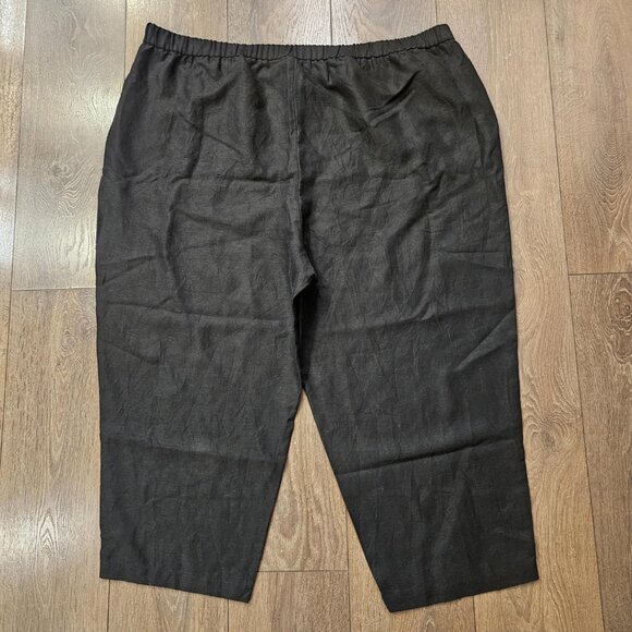 💫NWT Eileen Fisher Women's Tencel & Organic Linen Slub Easy Pant Plus Size 3X - Picture 6 of 16